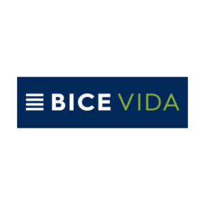Logo_ViceVida-300x300